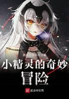 The Bizarre Adventure of the Elf